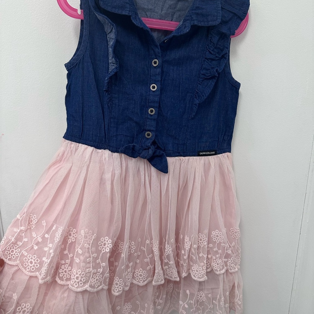 Calvin Klein Jeans Blue and Pink Kids Dress